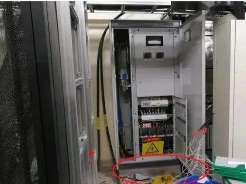 害人害己 麻痹違章不理會,危險(xiǎn)就在咫尺間