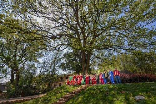 浙江擘畫詩路文化新藍圖 九市聯動，生態為基，打造中華文脈傳承創新帶