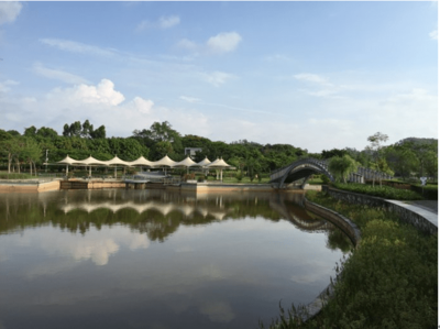 東進下的坪山，你還認識嗎？探秘生態園新篇